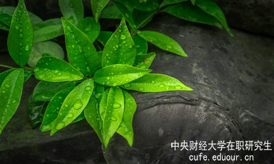 中央財(cái)經(jīng)大學(xué)同等學(xué)力申碩達(dá)到多少分才算通過考試？