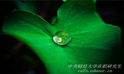 報(bào)考中央財(cái)經(jīng)大學(xué)在職研究生能升職嗎？