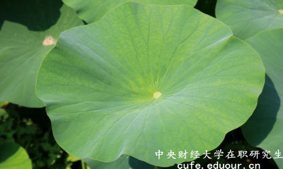 2018年中央財(cái)經(jīng)大學(xué)在職研究生可以獲得雙證嗎？