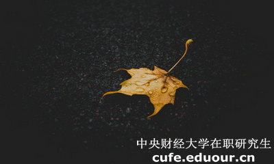 中央財經(jīng)大學(xué)在職研究生與課程研修班有哪些區(qū)別？