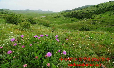 中國(guó)財(cái)經(jīng)大學(xué)在職研究生可以不考試么？